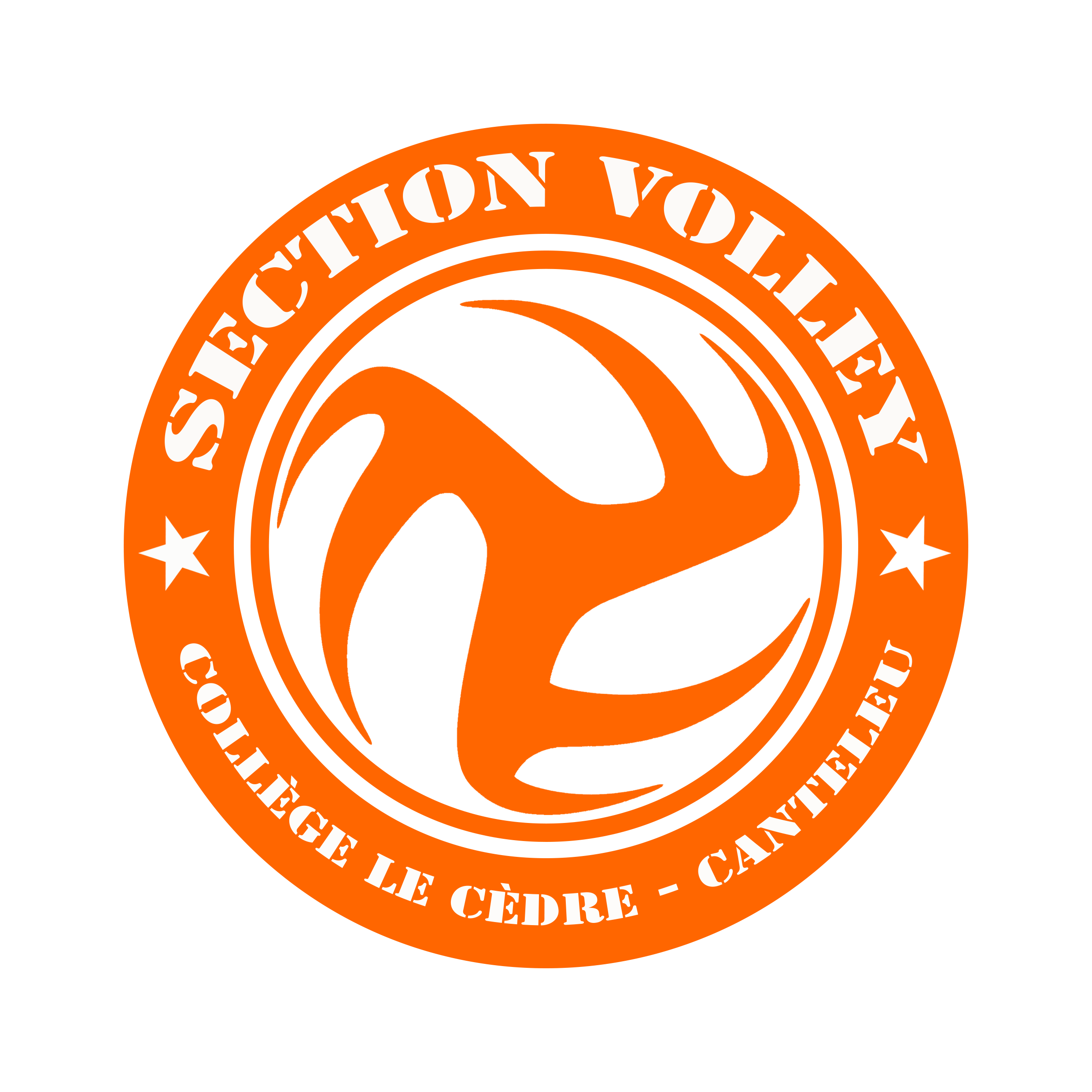 Logo Section Volley